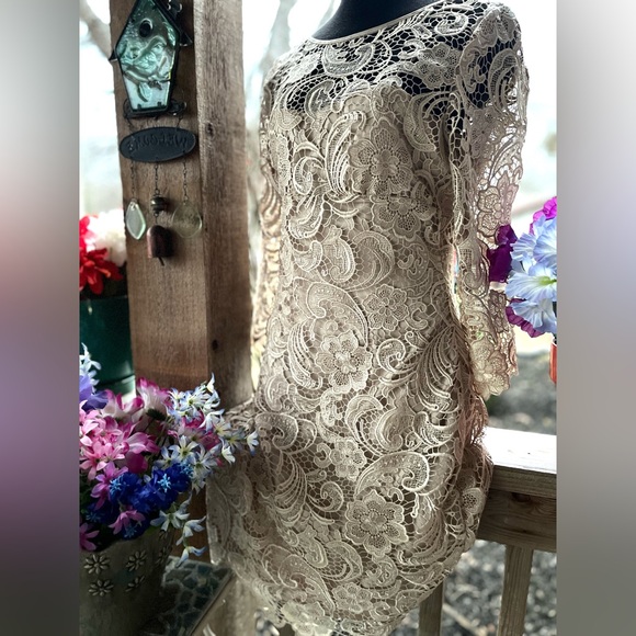 Adrianna Papell Elegant Palest Beige Lace Overlay Back Zip 3/4 Sleeves Dress 10 - Picture 6 of 11